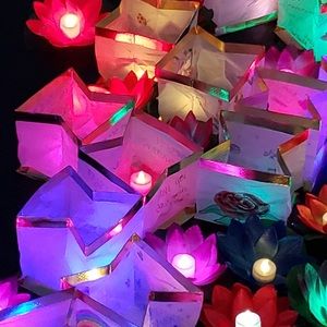 Meet your Posher, Jenn